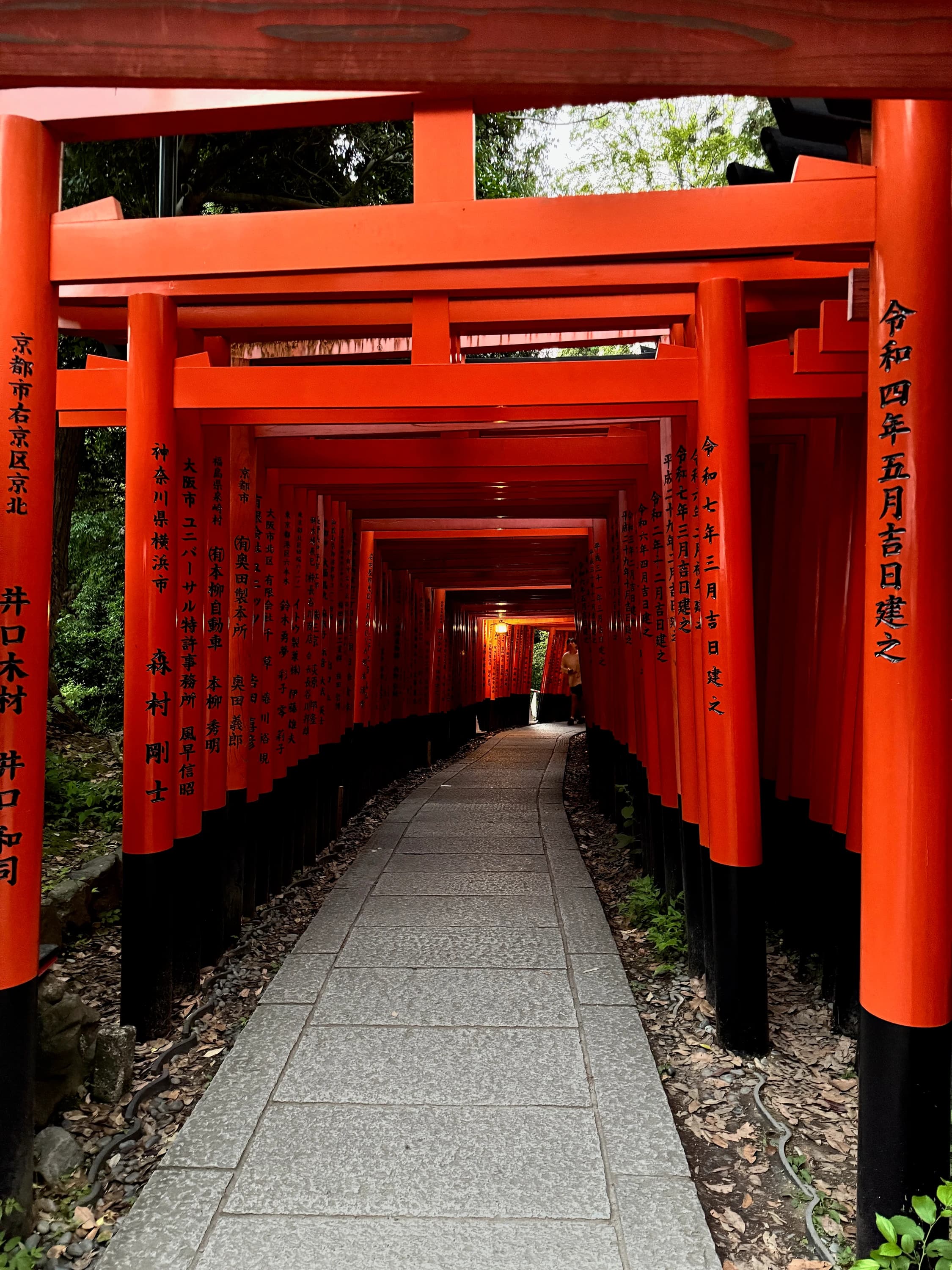 Fushimi Inari torii gates in Kyoto, Japan